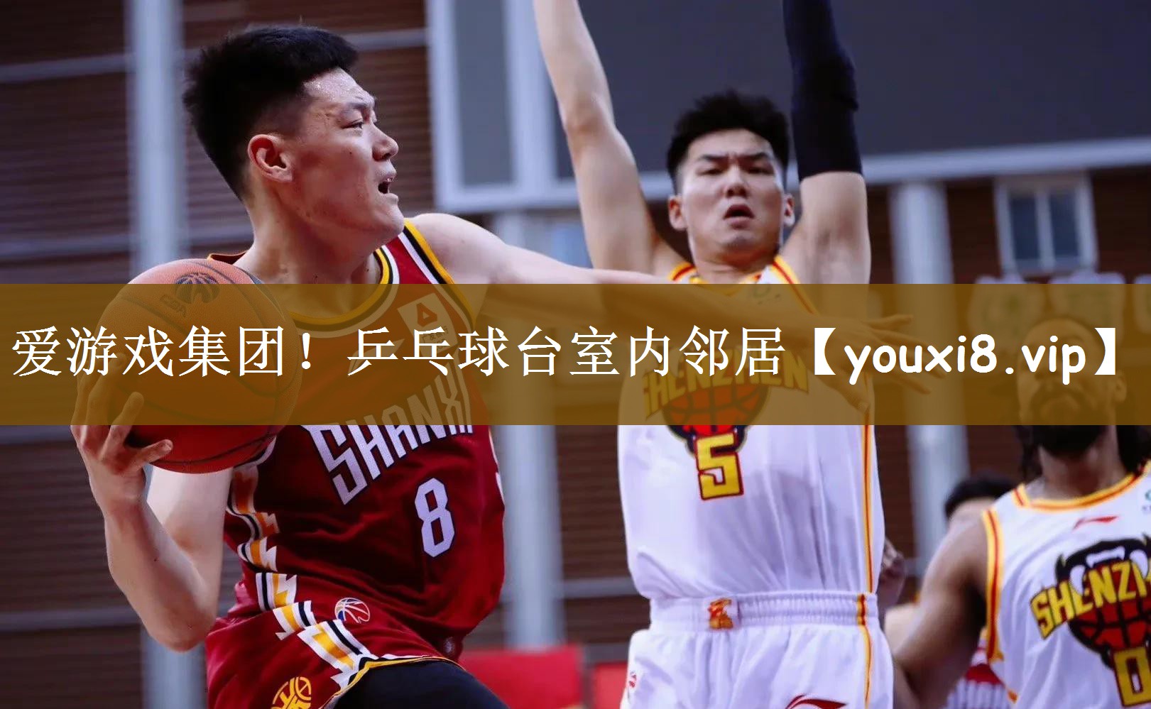 爱游戏集团！乒乓球台室内邻居