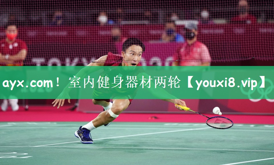 ayx.com！室内健身器材两轮