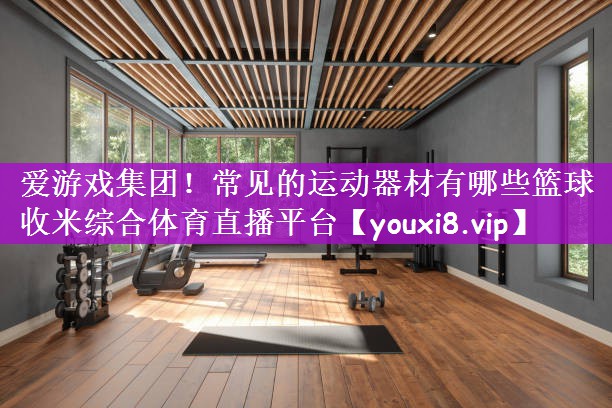 爱游戏集团！常见的运动器材有哪些篮球收米综合体育直播平台