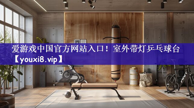 爱游戏中国官方网站入口！室外带灯乒乓球台
