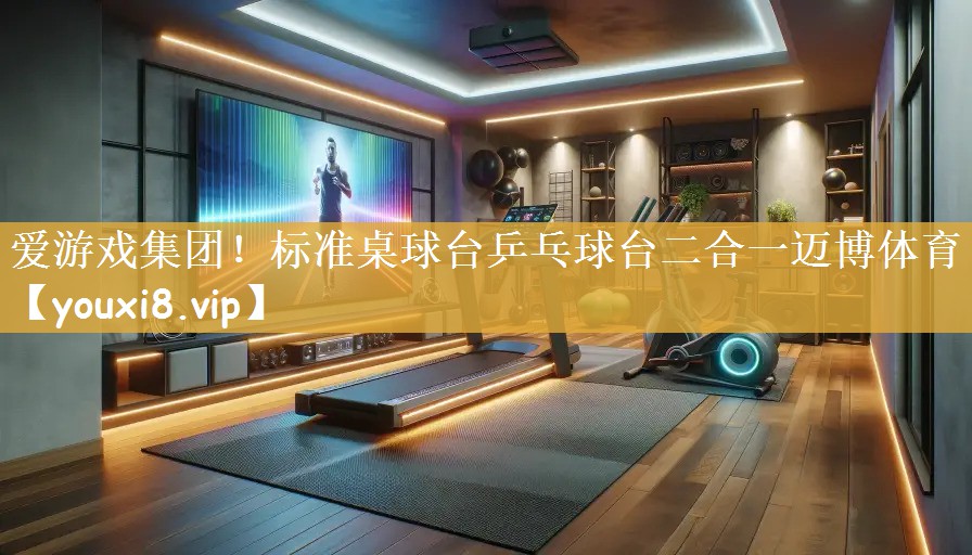 爱游戏集团！标准桌球台乒乓球台二合一迈博体育