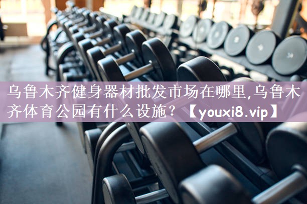 乌鲁木齐健身器材批发市场在哪里,乌鲁木齐体育公园有什么设施？