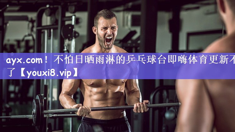 ayx.com！不怕日晒雨淋的乒乓球台即嗨体育更新不了