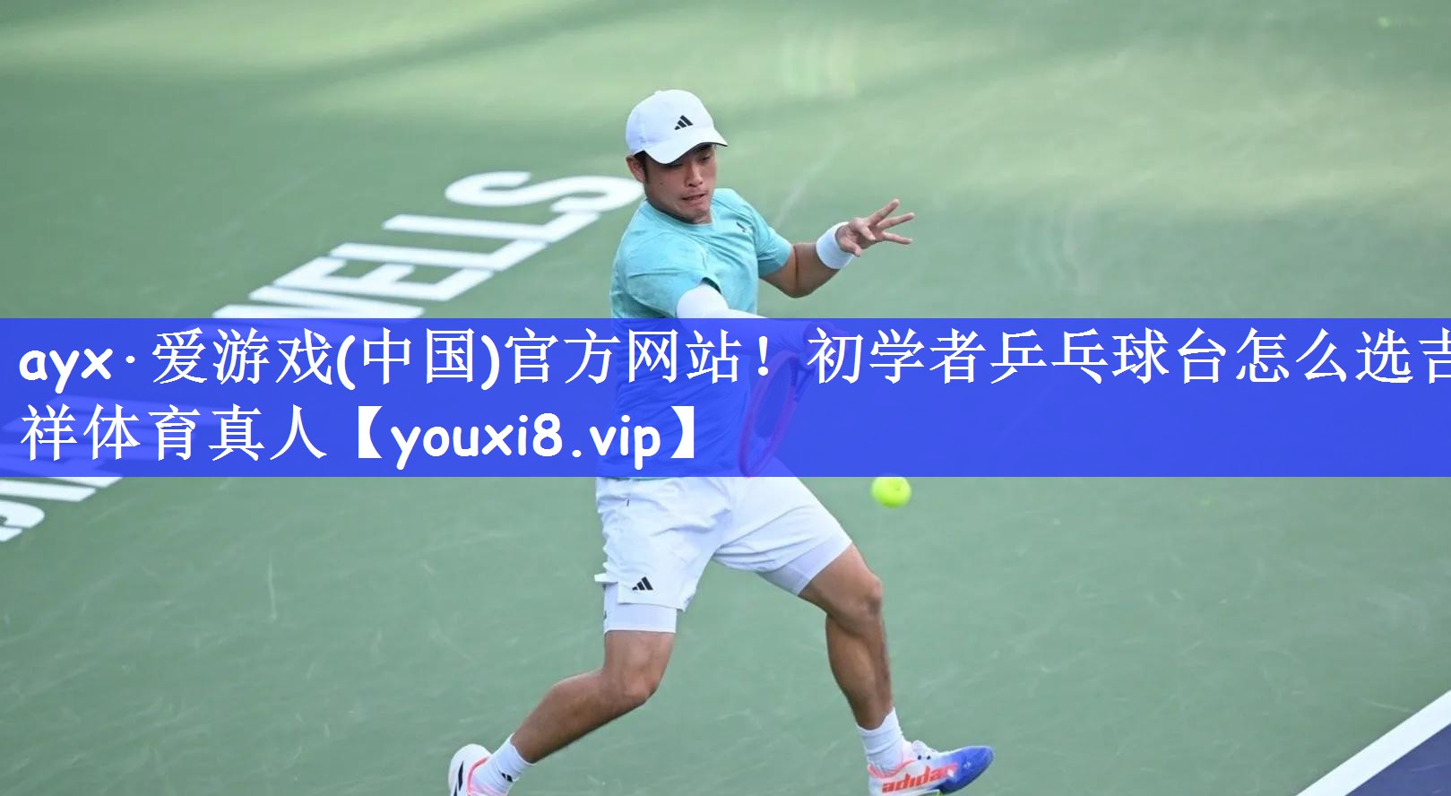 ayx·爱游戏(中国)官方网站！初学者乒乓球台怎么选吉祥体育真人