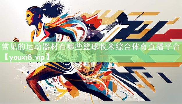 常见的运动器材有哪些篮球收米综合体育直播平台