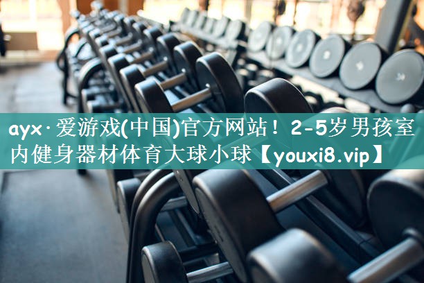 ayx·爱游戏(中国)官方网站！2-5岁男孩室内健身器材体育大球小球