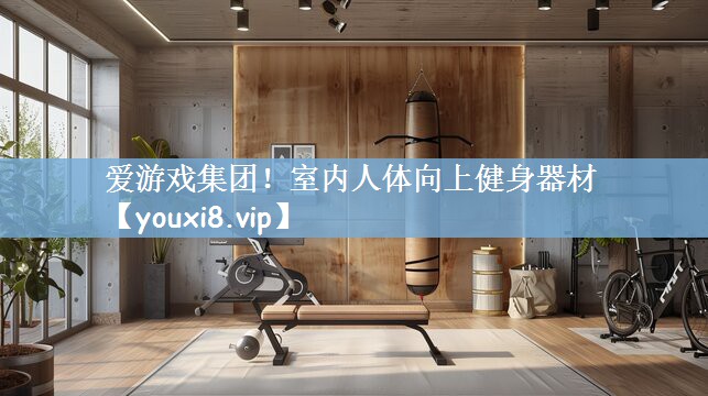 <strong>爱游戏集团！室内人体向上健身器材</strong>