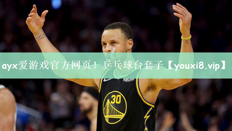 乒乓球台套子 乒乓球台套子