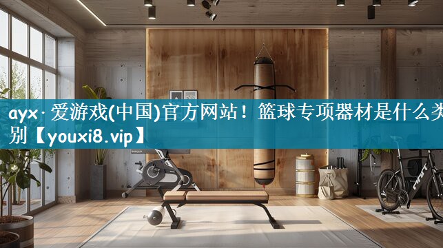篮球专项器材是什么类别