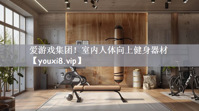 室内人体向上健身器材